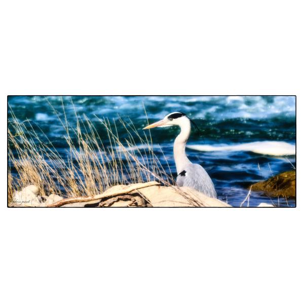 PHOTO84, CLUB, 84 , LUBERON